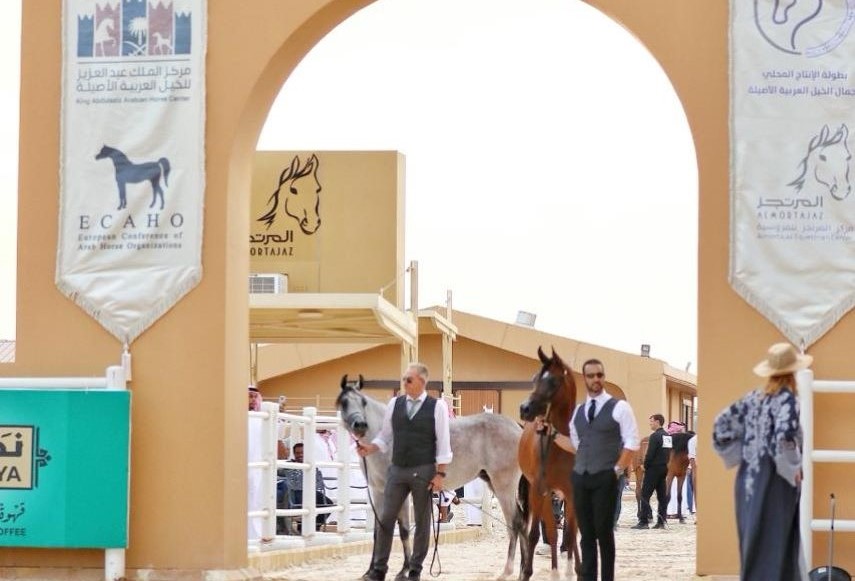 Almortajaz Arabian Horse Show will be held in Riyadh on Feb. 22. (Supplied)