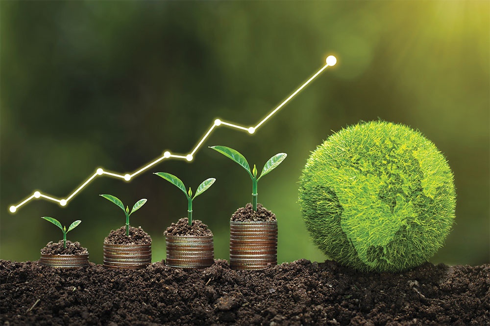 According to a recent report by the credit rating agency S&P Global, green, social and sustainability linked bonds in 2024 could account for 14 percent of the total issuance for the second consecutive year.