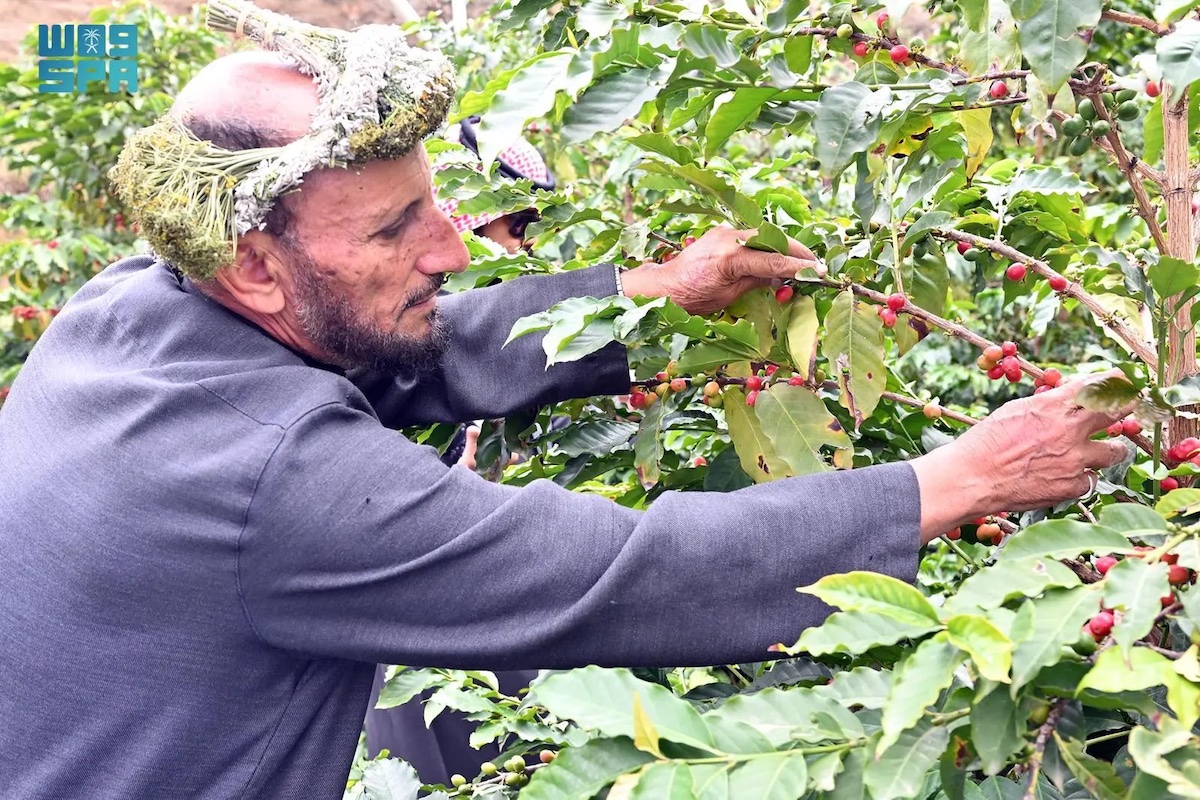 The minister highlighted the focus on coffee projects, reflecting the diverse agricultural landscape of Saudi Arabia’s southwestern region. (SPA)
