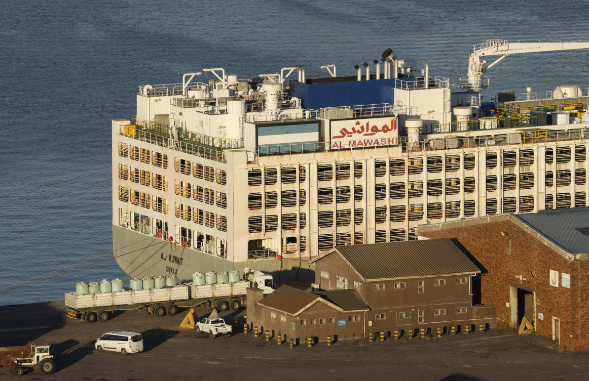 The 190-meter long (623 foot) Al Kuwait is a Kuwaiti-flagged livestock vessel seen docked with 19 000 cattle abroad in the harbour in Cape Town, South Africa, Tuesday, Feb. 20, 2024. (AP)