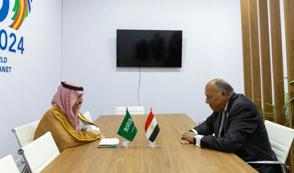 Saudi and Egyptian foreign ministers discuss bilateral ties