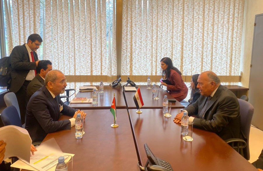 Sameh Shoukry and Ayman Safadi meet in Geneva. (X/@MfaEgypt)