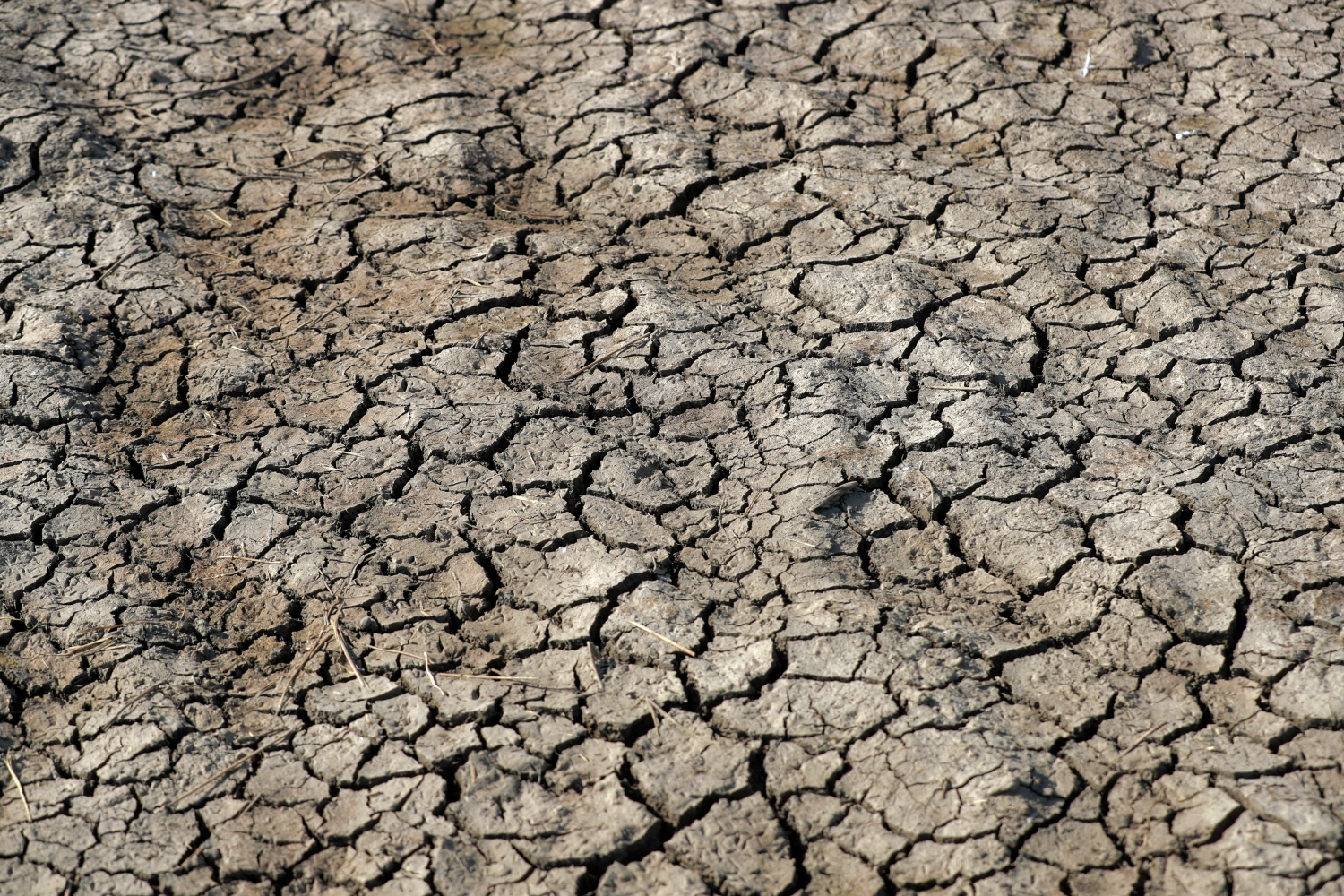 In Iran, one of the most significant consequences of climate change is the exacerbation of water scarcity (File/AFP)