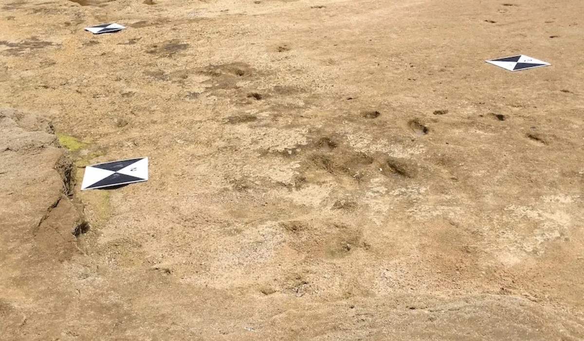 Human footprints 100,000 years old found in Morocco