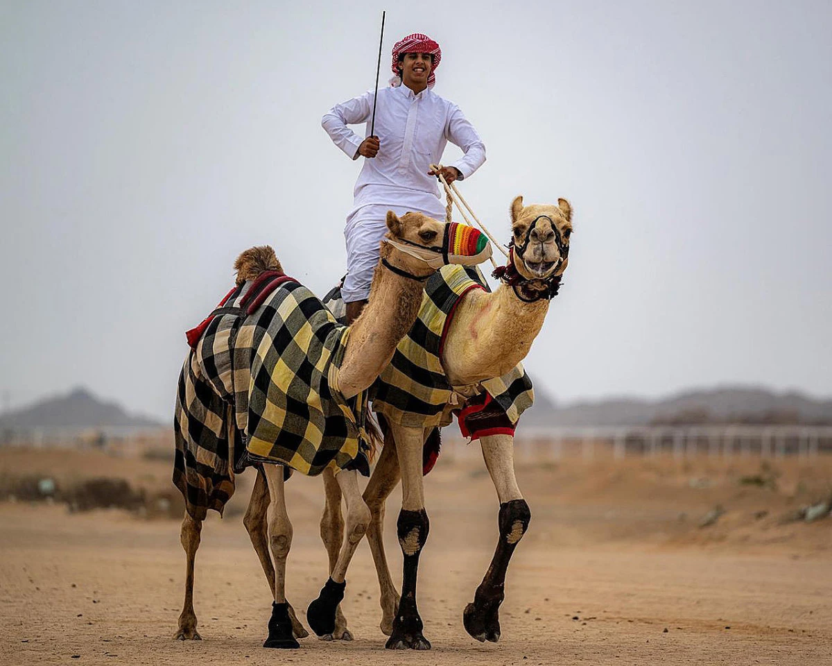 Saudi teen bags 30 awards for camel racing