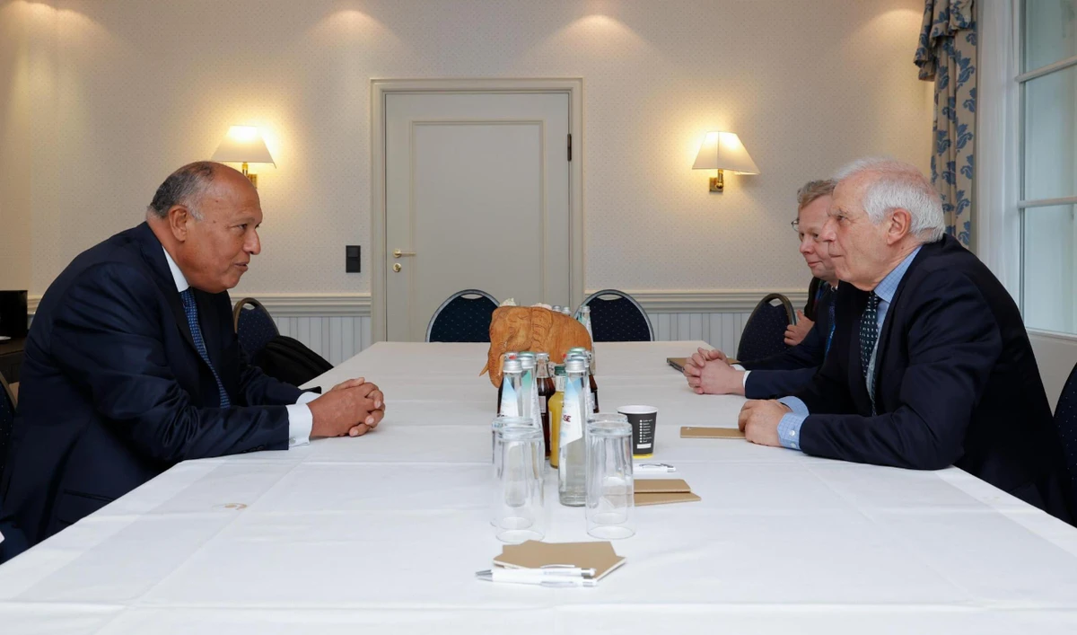 Egypt, EU join forces in attempt to resolve crisis in Gaza