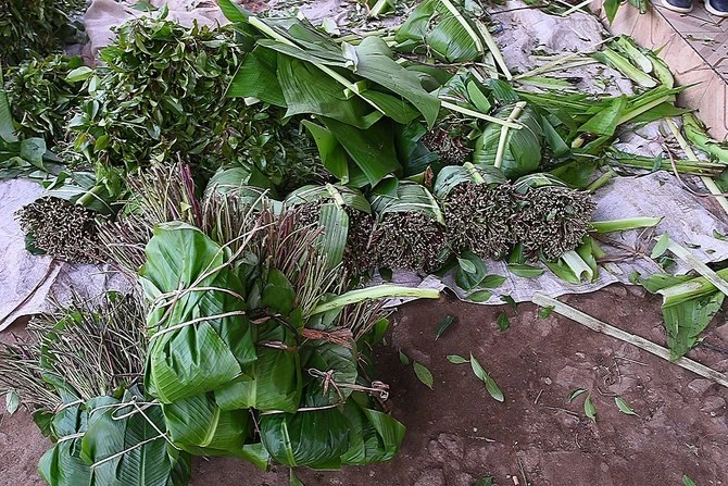 Individuals chew qat leaves for its stimulant effects, which are less intense than those caused by abusing cocaine or methamphetamine. (AFP filephoto for illustrative purposes)