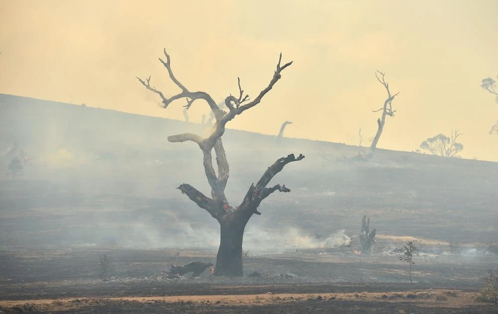 Of Australia’s 10 hottest years on record, eight were since 2010, meteorologists say, which raise the risk of bushfires. (AFP file photo)