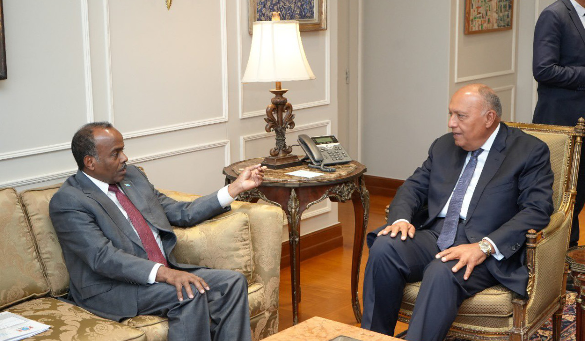 Sameh Shoukry (R) holds talks with Ali Mohamed Omar in Cairo. (Twitter @MfaEgypt)