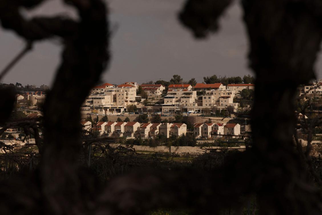 Above, the Israeli settlement of Efrata built on the land of the Palestinian town of Al-Khader in the Bethlehem governorate in the occupied West Bank on March 6, 2024. (AFP)