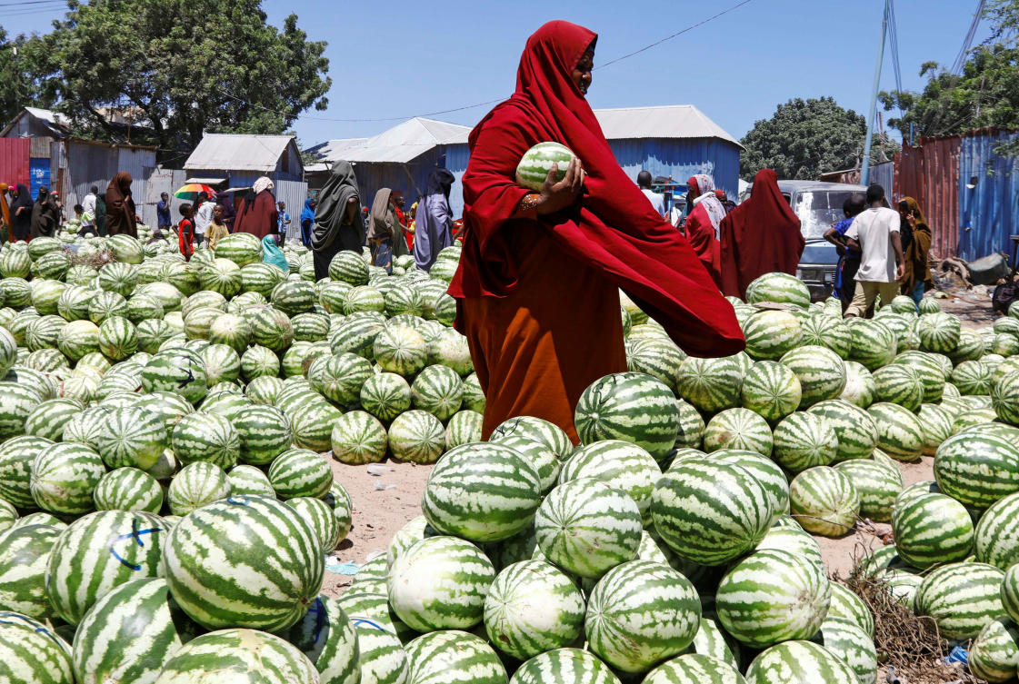 A Somali woman arranges watermelons for sale at an open-air grocery market as Muslims start the fasting month of Ramadan, the holiest month in the Islamic calendar, in Warta Nabada District of Mogadishu, Somalia March 11, 2024. (File/Reuters)
