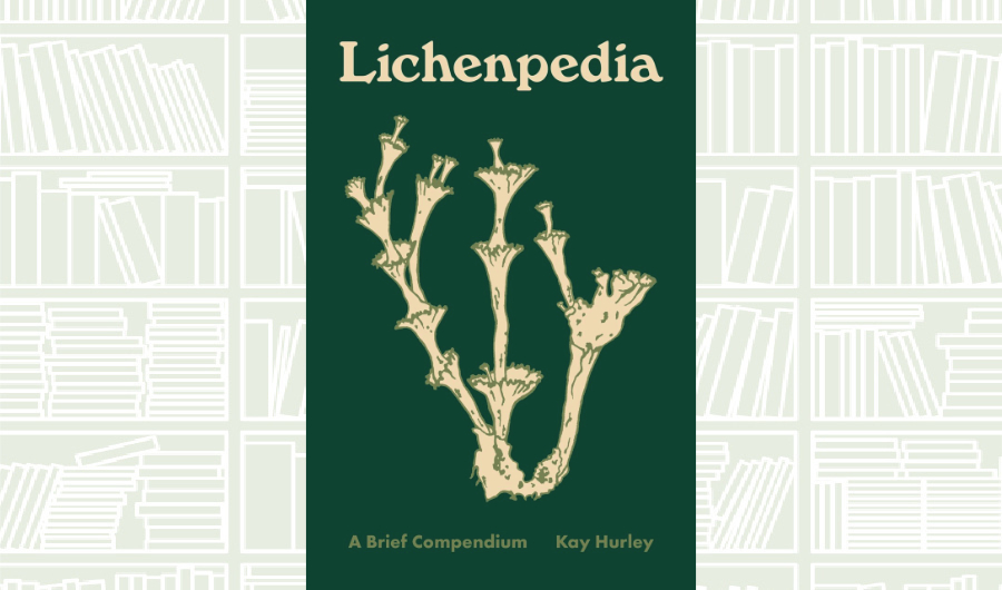 What We Are Reading Today: Lichenpedia