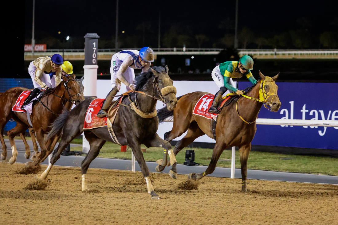 8 things to look out for at the 2024 Dubai World Cup