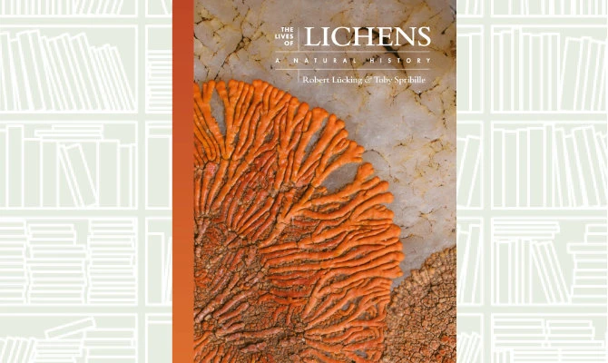 What We Are Reading Today: ‘The Lives of Lichens’