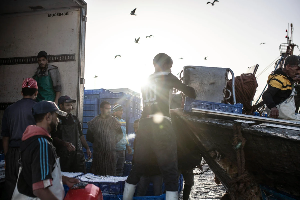 Fish is displayed for merchants inside the main port in Dakhla city, Western Sahara, on Dec. 21, 2020. (AP)