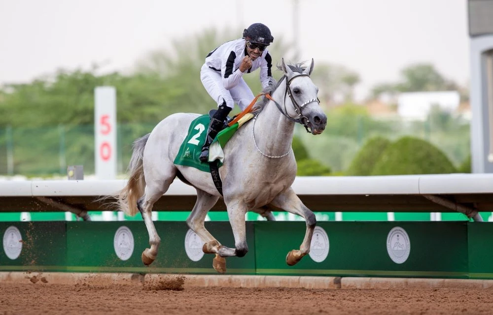 Asfan Al-Khalediah maintained his unbeaten record in winning the Obaiya Arabian Classic at The Saudi Cup. (Ali Al-Abdullah/JCSA)