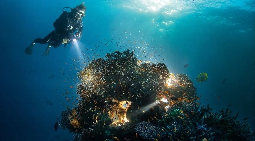 Red Sea Global is creating The Red Sea and Amaala. (X/@AMAALA)