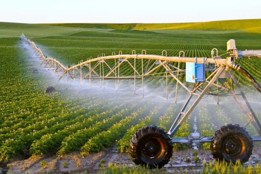 The volume of investment in food technology in the GCC countries amounted to about $3.8 billion, and the contribution of the agriculture and fisheries sector to the gross domestic product reached 1.8 percent.