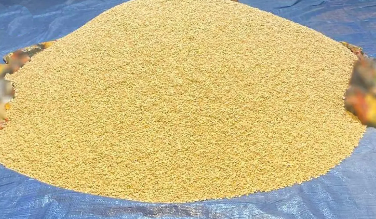 Saudi police have arrested individuals carrying prohibited drugs. (SPA)