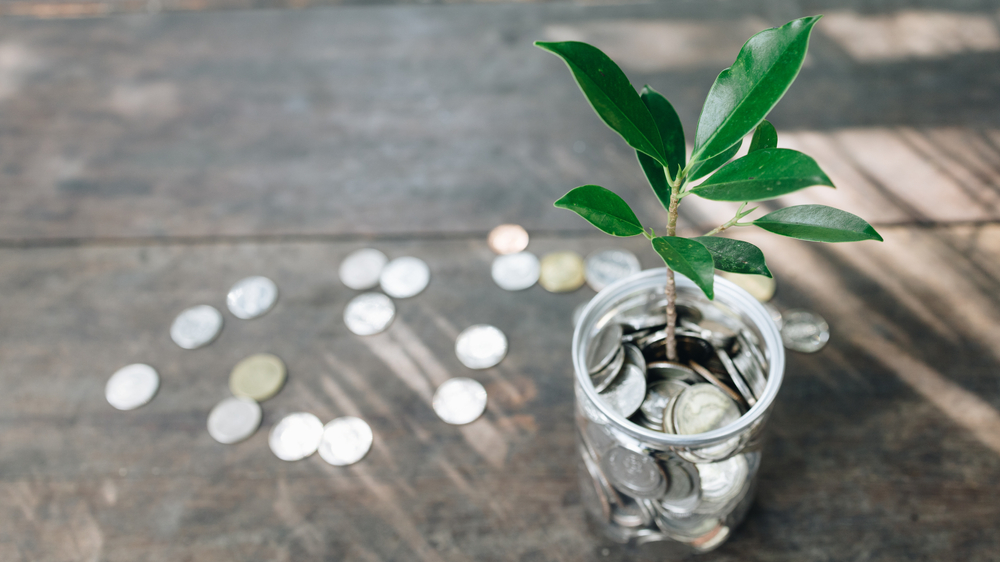 Egyptian startups have secured sizeable investments. Shutterstock