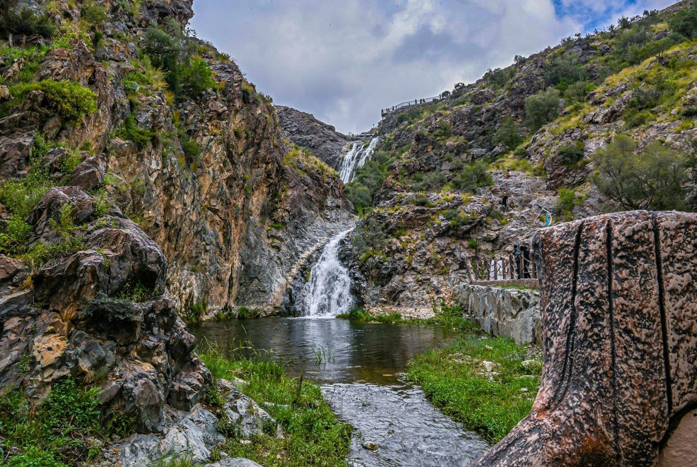 Organized by the Ministry of Environment, Water and Agriculture, the event features workshops, lectures, field activities and awareness campaigns designed to encourage citizens to protect natural resources and support sustainable development. (SPA)