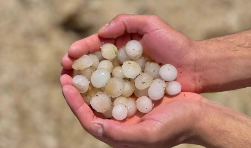 The Civil Defense said that most parts of the Kingdom will experience moderate-to-torrential thundershowers. (SPA)