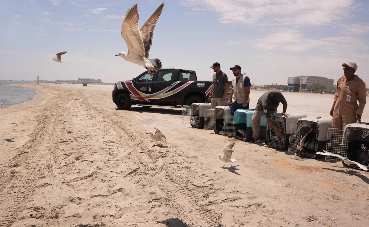 The initiative underscores international commitments and efforts to preserve these species, the Saudi Press Agency reported. (SPA)
