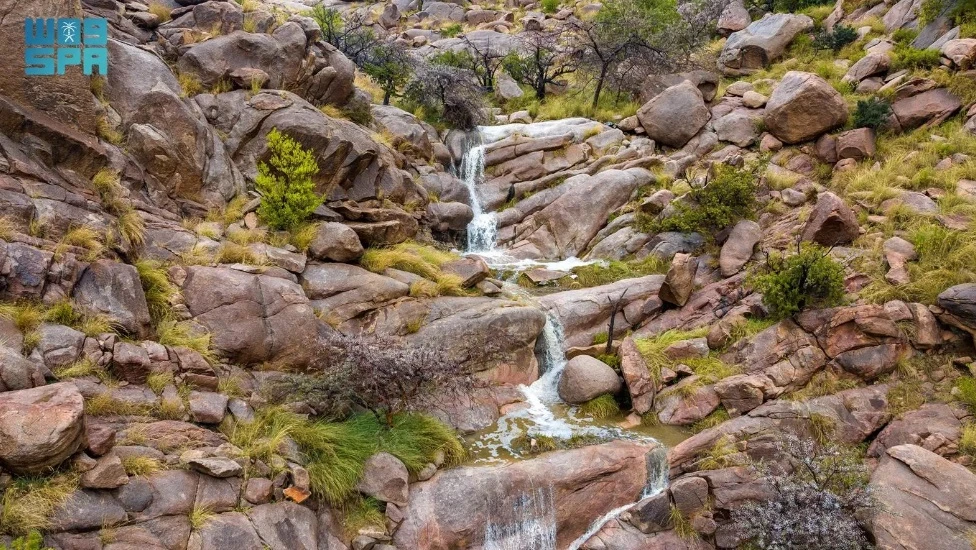 Taif is fast becoming a major tourist hub in the Kingdom, with visitors arriving from around the world, including the Gulf, to enjoy its pristine environment and natural attractions during holiday celebrations. (SPA)