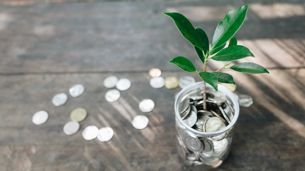 Egyptian startups have secured sizeable investments. Shutterstock