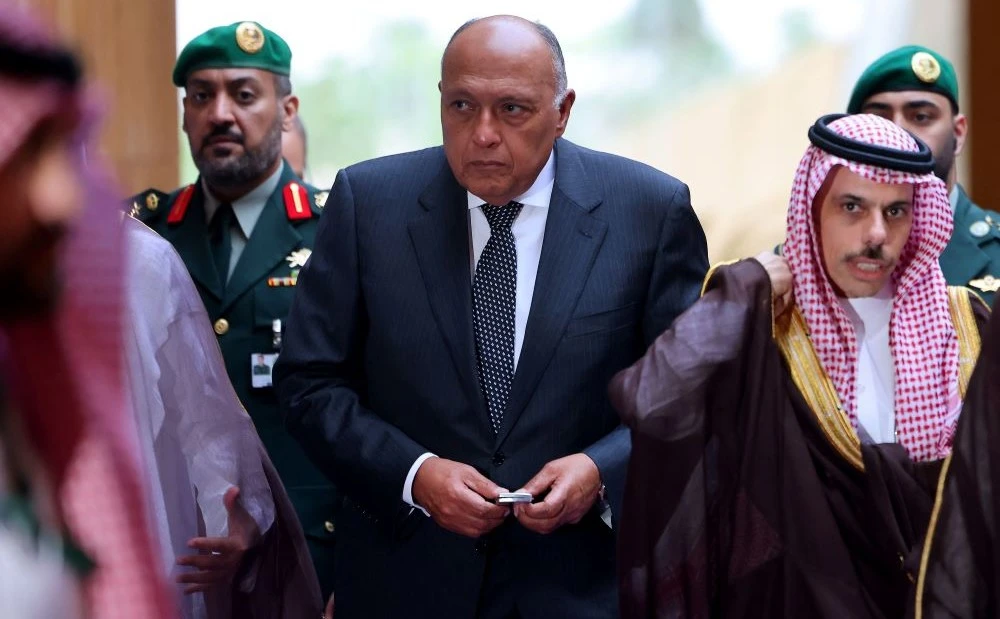 Egyptian FM repeats call for two-state solution