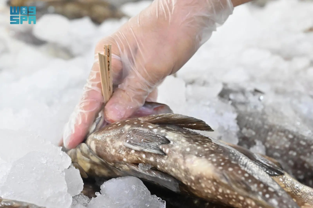 During the 3,228 inspections, field teams confiscated and destroyed 7,830 kilograms of spoiled fish. (SPA)
