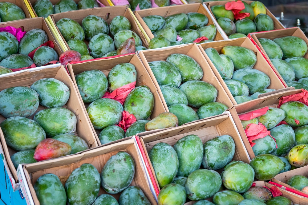 Egypt exported $1.3 billion of vegetables and fruits to Arab countries in 2023. Shutterstock