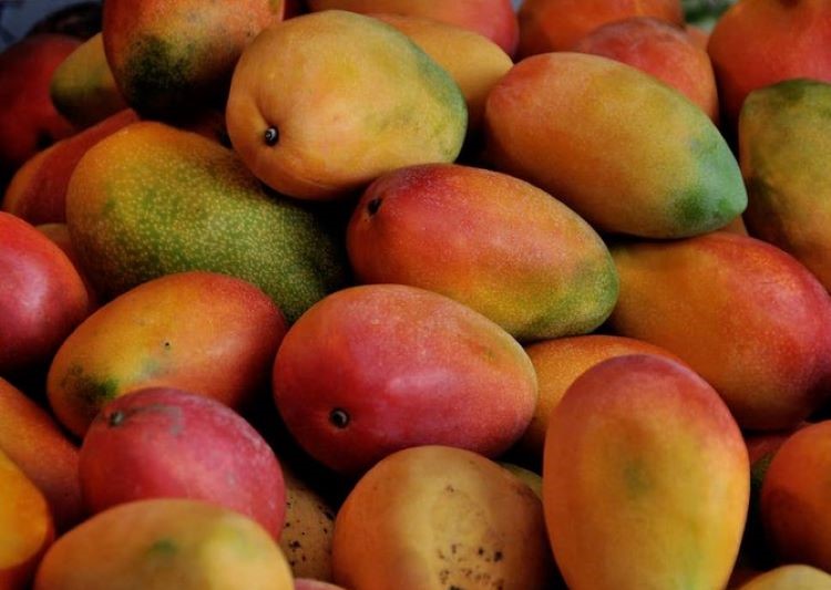 Mangos are a great source of antioxidants such as vitamins C and A. (AFP)