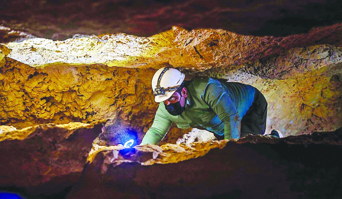 The National Center for Wildlife’s program to explore biodiversity in caves was launched due to its positive impact on wildlife. (SPA)