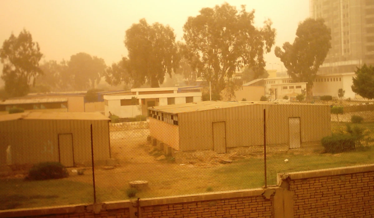 The Meteorological Authority has issued warnings about the desert fly invasion, advising citizens to keep doors and windows securely closed and use mosquito nets while sleeping. Photo: (Midoladido at English Wikipedia)