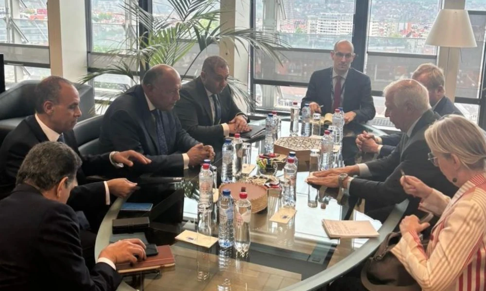 Sameh Shoukry made the remarks during his meeting in Brussels with Josep Borrell, the high representative of the EU for foreign affairs and security policy. (Screenshot)