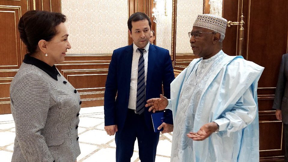 Secretary-General of the Organization of Islamic Cooperation Hissein Brahim Taha acknowledged Uzbekistan’s socioeconomic progress. (Supplied)