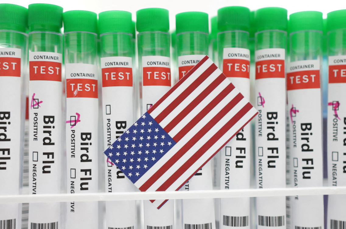Test tubes labelled "Bird Flu" and a piece of paper in the colours of the U.S. national flag are seen in this picture illustration, January 14, 2023. (Reuters)