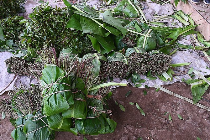 Individuals chew qat leaves for its stimulant effects, which are less intense than those caused by abusing cocaine or methamphetamine. (AFP file photo)