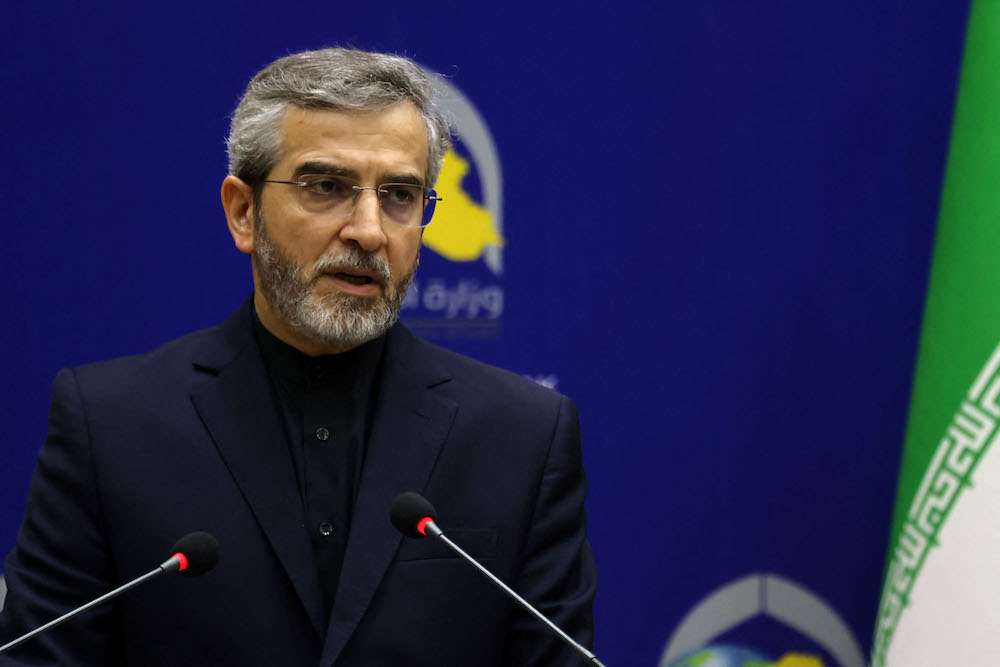 Above, Iran’s acting foreign minister Ali Bagheri Kani. (AFP)