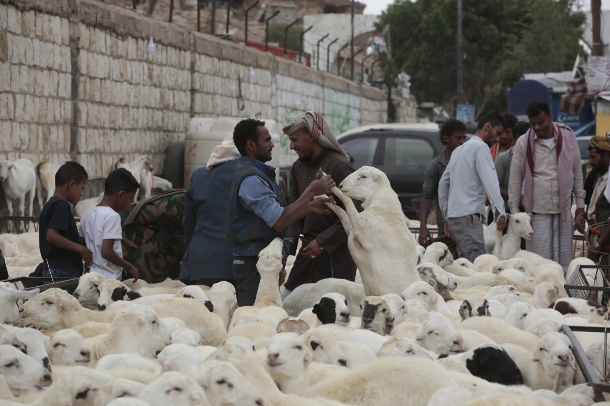 People visit a livestock market in Sanaa, Yemen, before the Eid Al-Adha holiday on June 15, 2024. (AP)