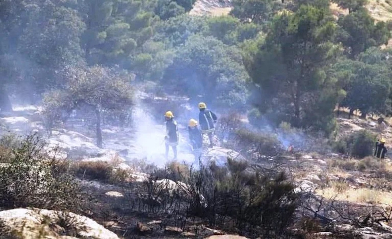 Jordan is currently experiencing a severe heatwave, with temperatures soaring to record highs of 45 degrees Celsius in several regions. (Petra)
