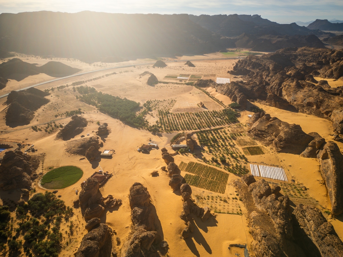 Saudi Arabia will host COP 16 in December. (File/Shutterstock)