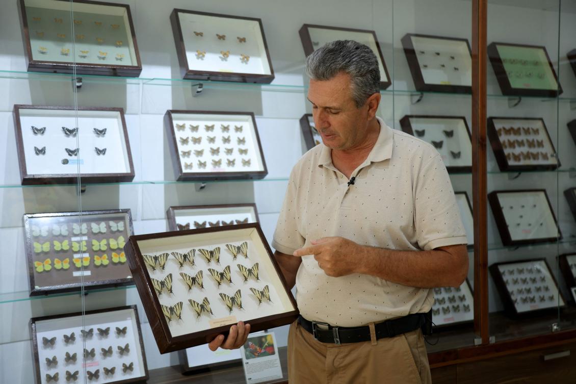 Increasingly absent from the picturesque district of Zvernec, the Alexanor is one of 58 of the Balkan country’s 207 butterfly species that researchers say are at risk. (AFP)