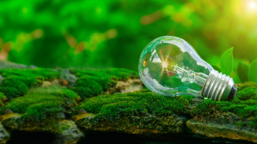 Countries worldwide are overhauling their energy systems in response to global commitments. Shutterstock