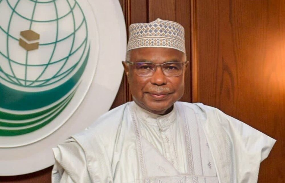Organization of Islamic Cooperation Secretary-General Hissein Brahim Taha. (X@OIC_OCI)