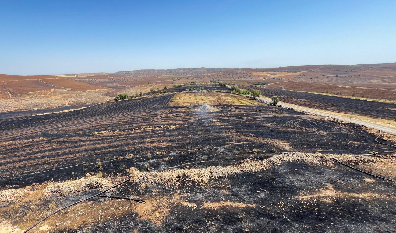 This handout photograph taken and released on June 21, 2024 by Turkish news agency DHA shows a burnt field after a wildfire swept overnight through two areas between the districts of Diyarbakir and Mardin in southeastern Turkiye. (AFP)