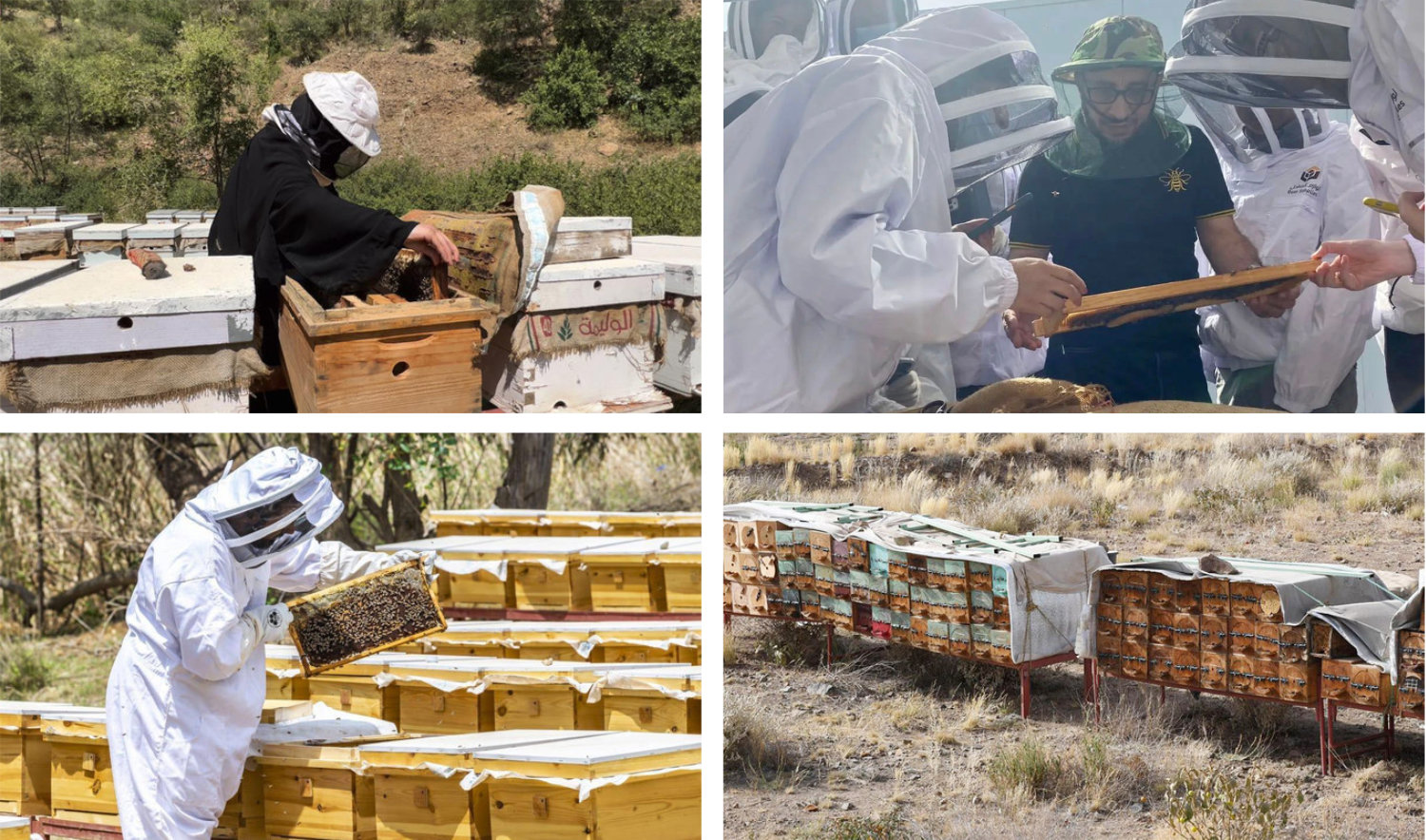 Honey has long held a special place in Saudi culture, cultivated by beekeepers across the Kingdom for its medicinal and culinary uses. (AN file photos)