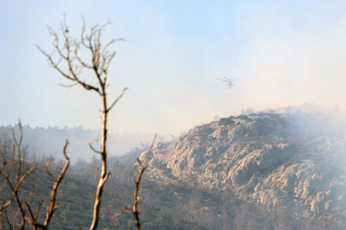 The wildfire in a mountainous forest area just outside Athens, above, had eased by Sunday morning but some 160 firefighters were still engaged in extinguishing it, officials said. (Reuters)