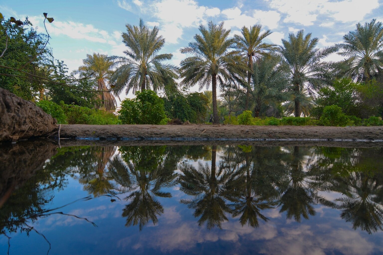 The Madinah region continues to attract visitors to numerous rural farms that have become popular natural retreats. (Nakheel Alya)